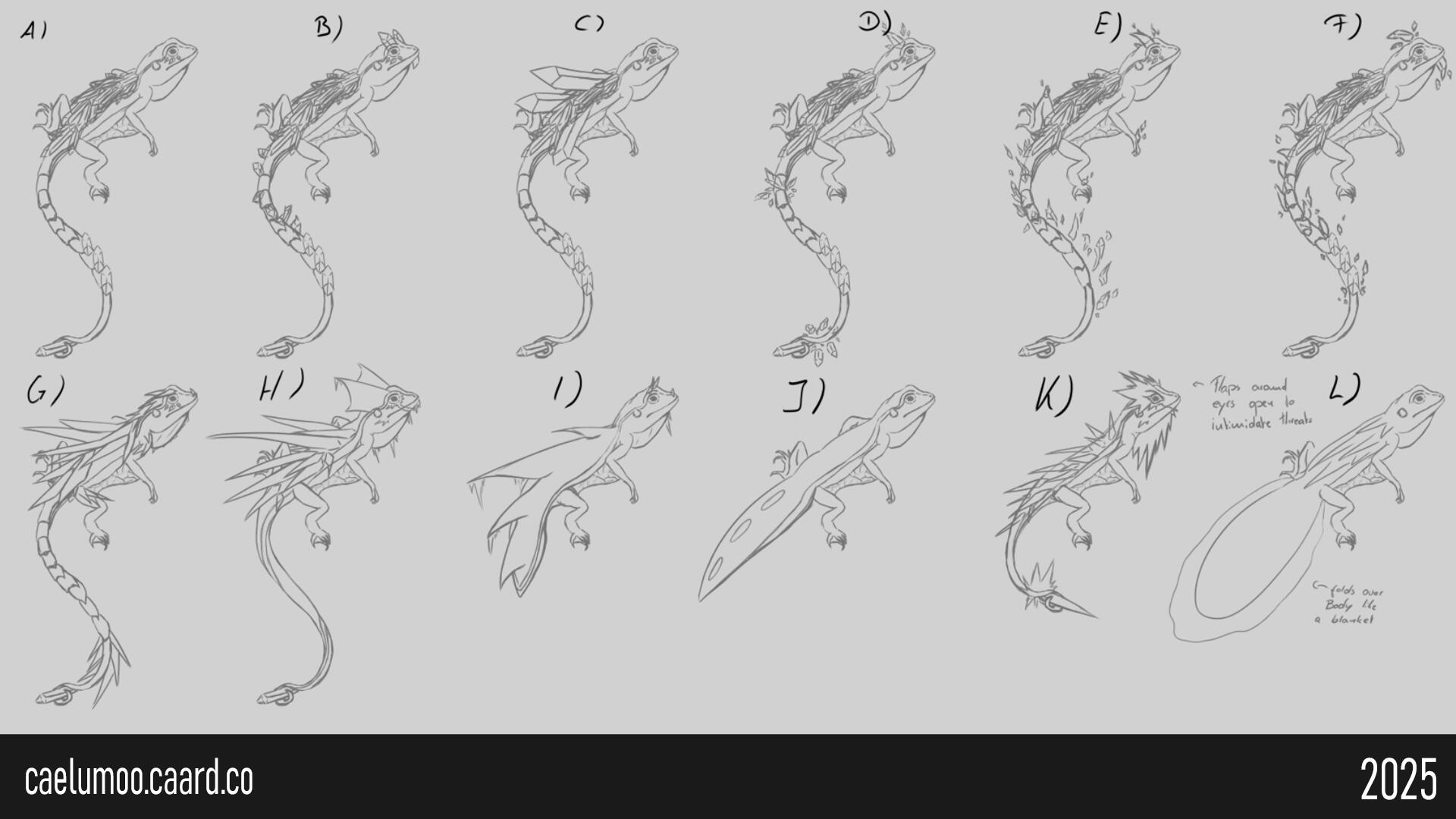 Sketches