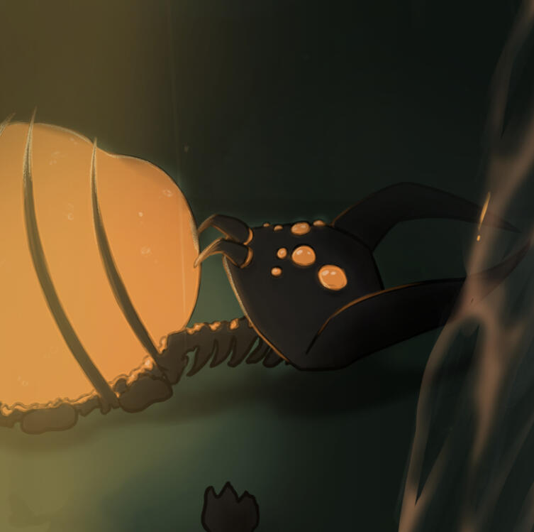 Astor and the Husk